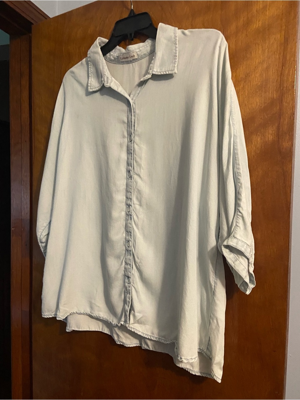 Coldwater Creek Light Sage Green Button-Front Blouse